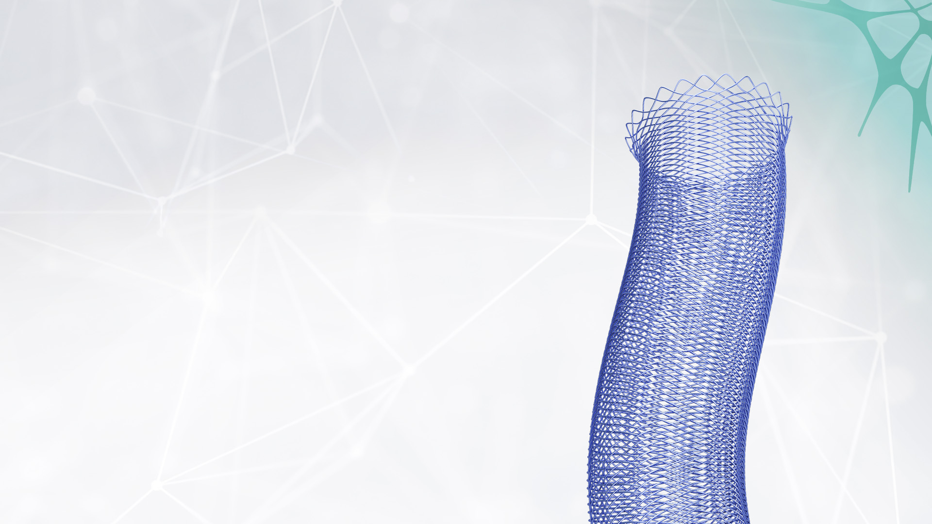 CARESTO® heal Stent EN