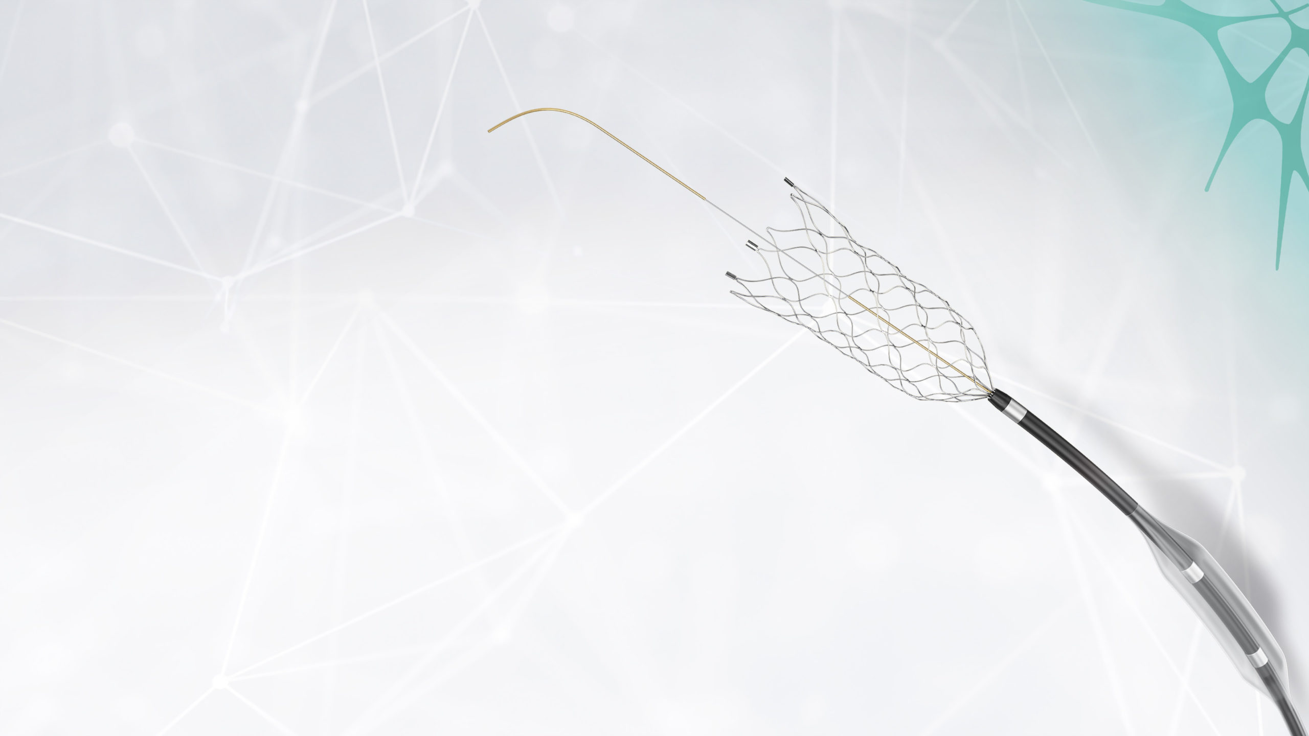 CREDO® heal Stent EN