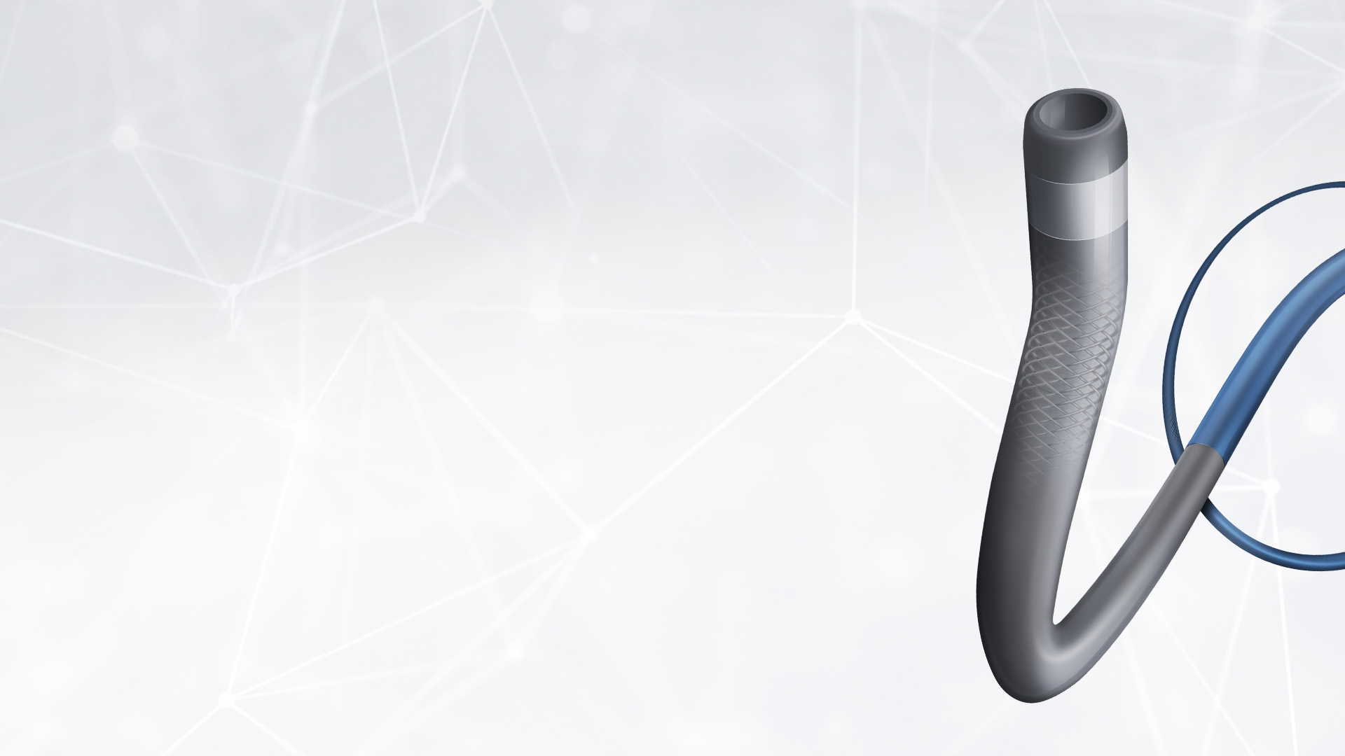 NeuroBridge® Catheter EN