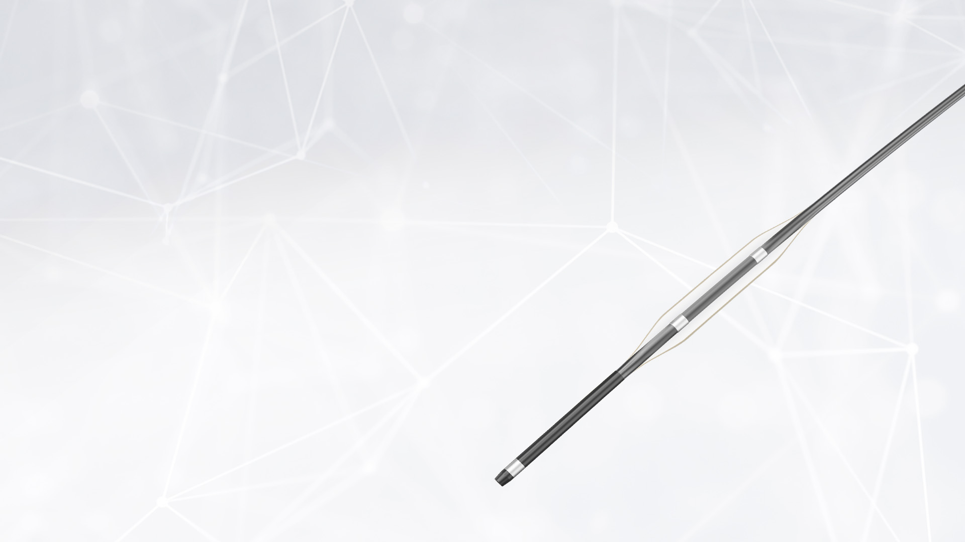 NeuroSpeed® PTA Balloon Catheter EN