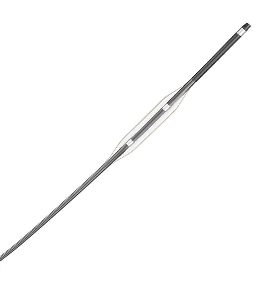 NeuroSpeed® PTA Balloon Catheter - acandis