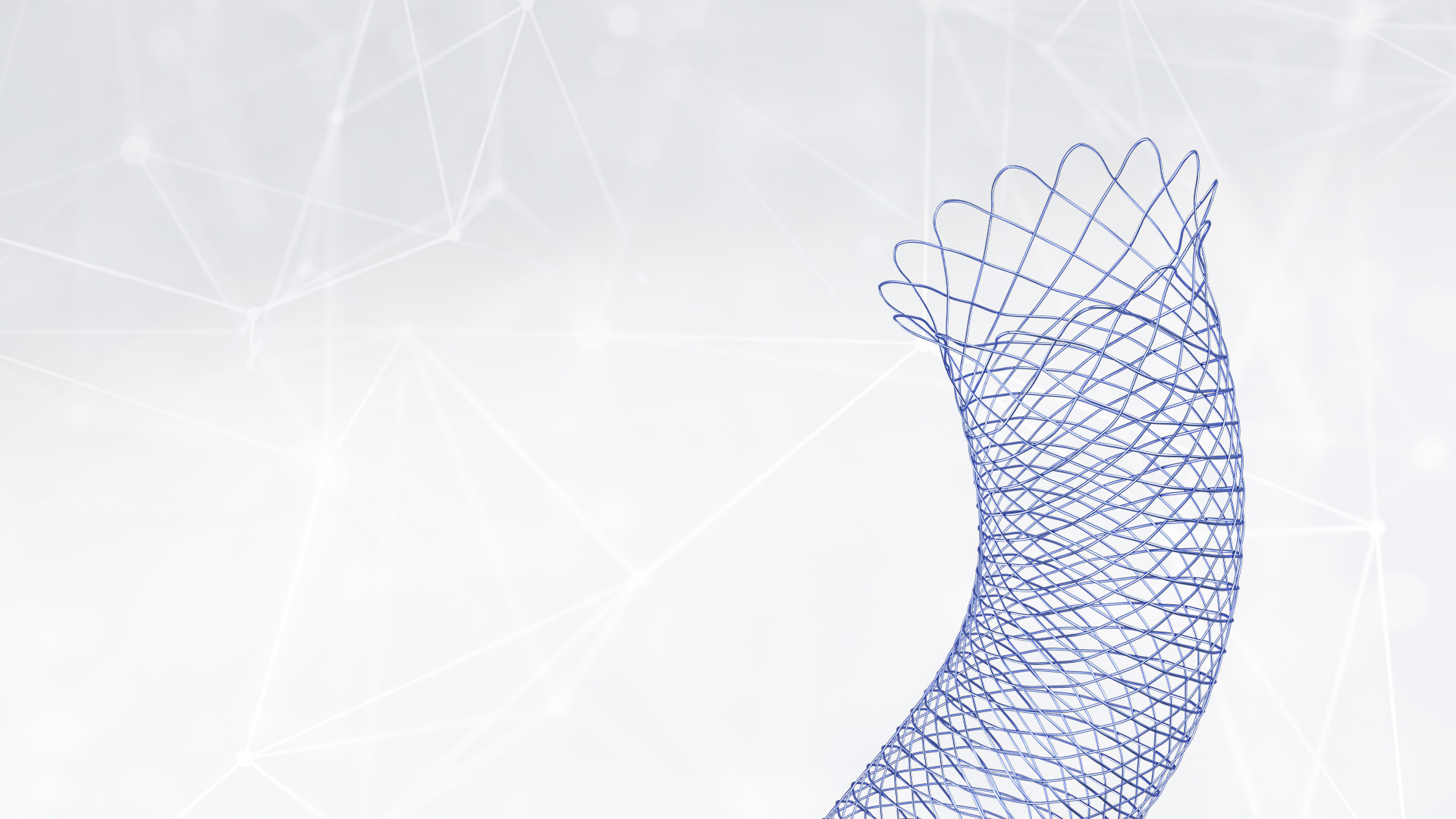 Header_ACCERO Rex EN