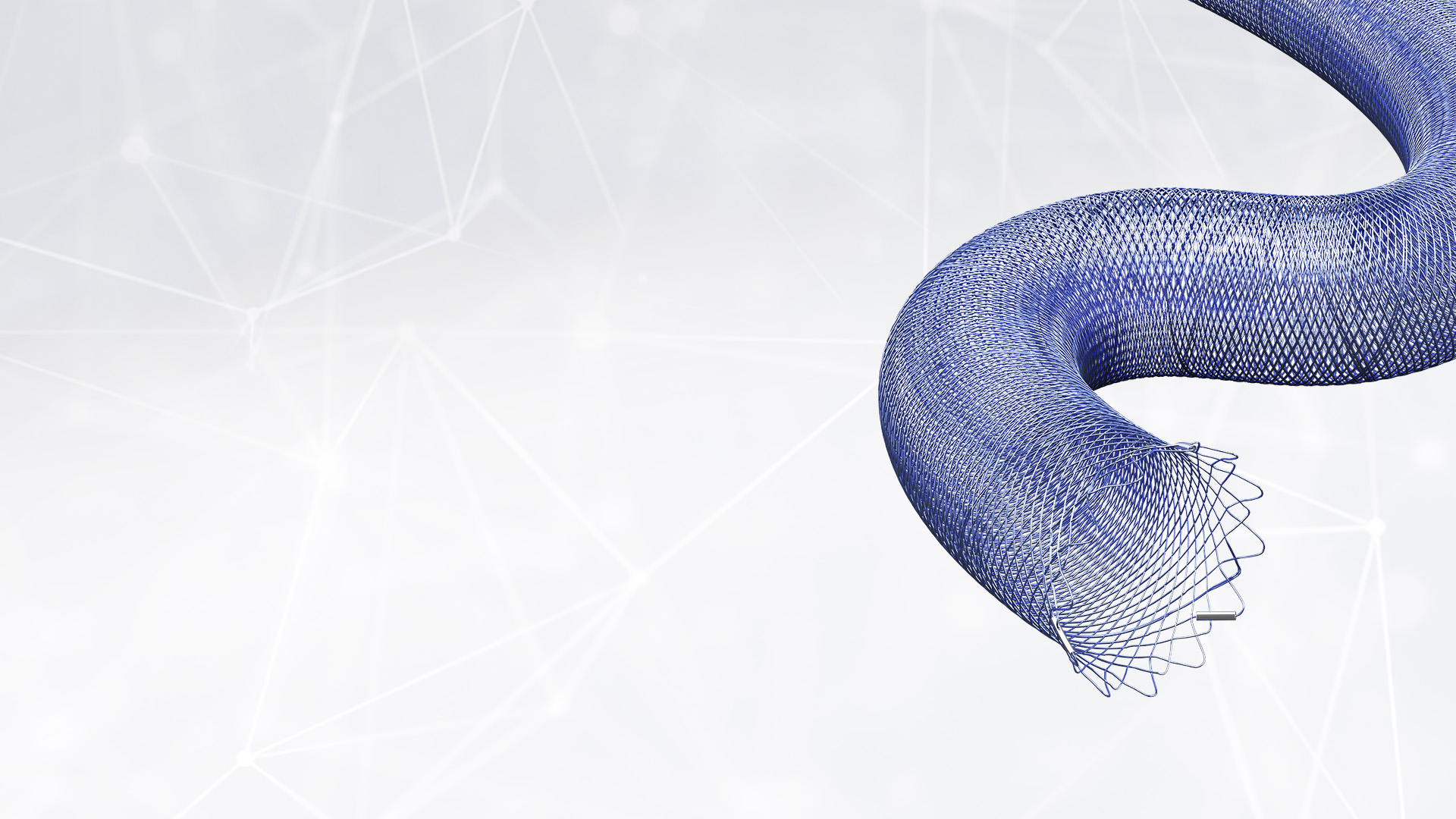 Header_DERIVO | DERIVO mini EN