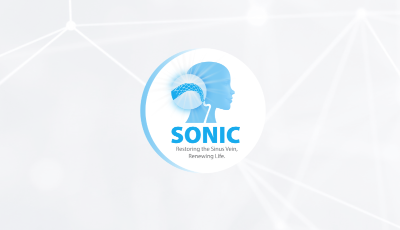 Sonic Study Logo